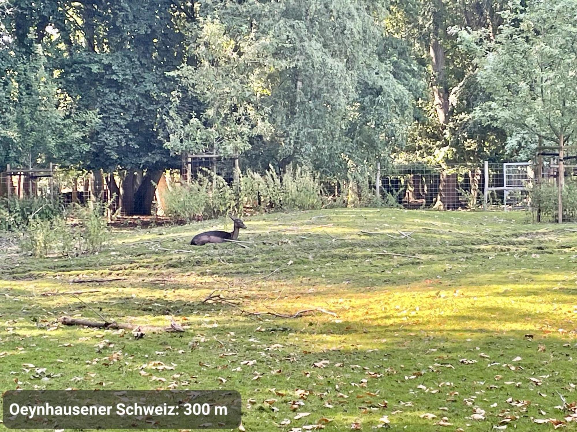 Studio3 Zentral Und Ruhig Mit Parkplatz, 5 Min Z Bali-T Und Gop, Boxspringbett Bad Oeynhausen Dış mekan fotoğraf
